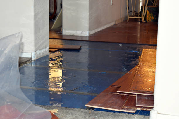 Professional Basement Flood Cleanup technician working in Lucasville, OH